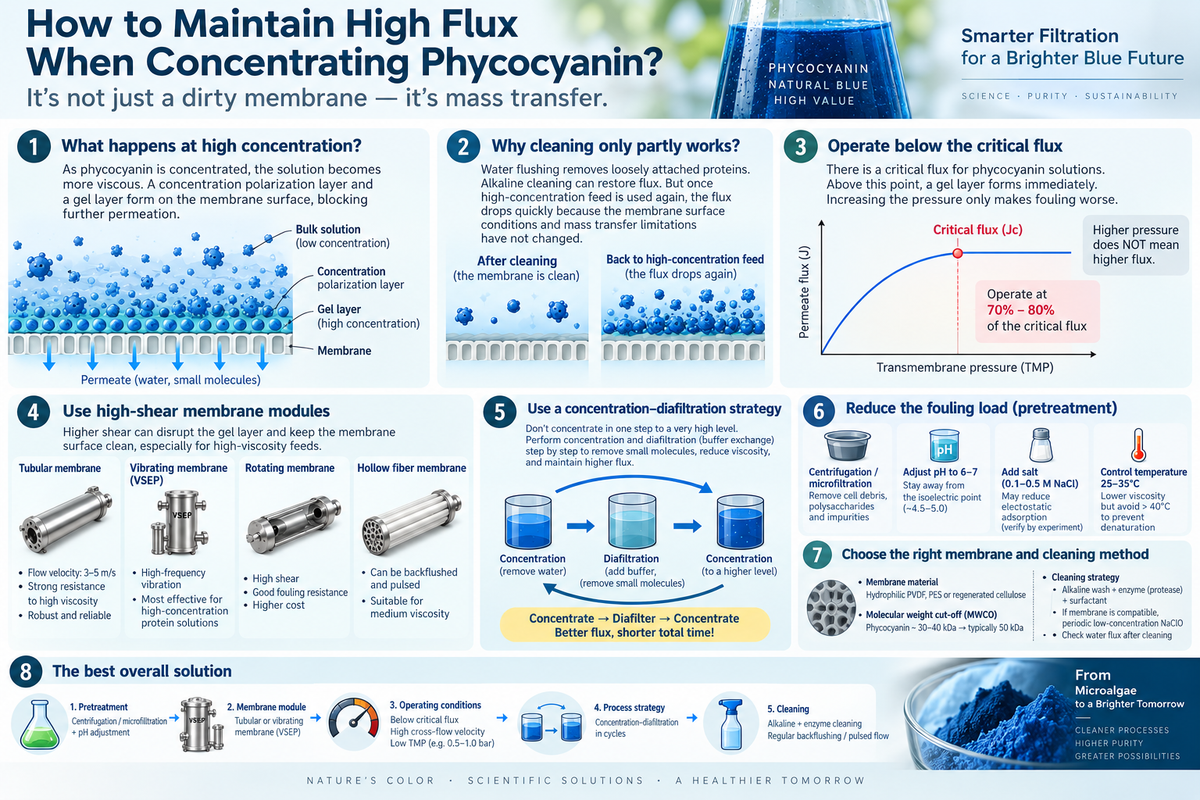Why Does Membrane Flux Suddenly Decline During Phycocyanin Concentration?