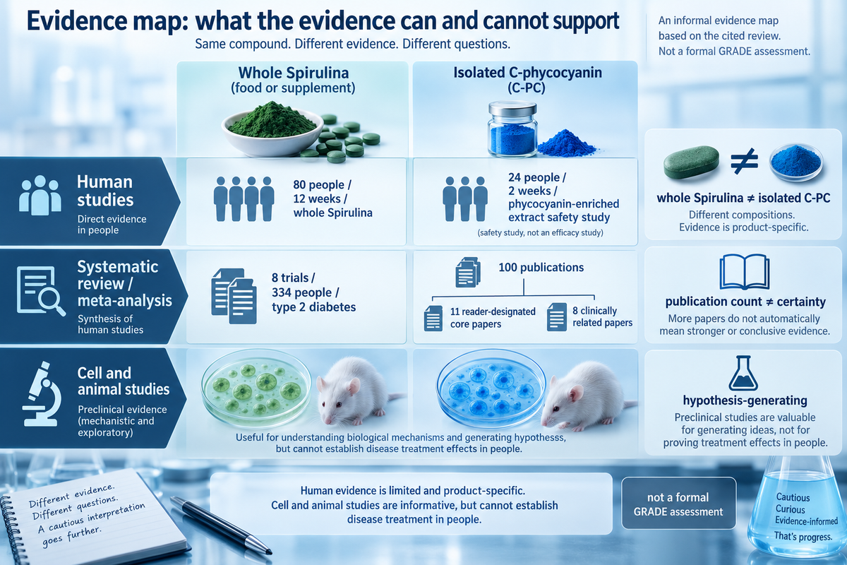 What Does Research Show About C-Phycocyanin?