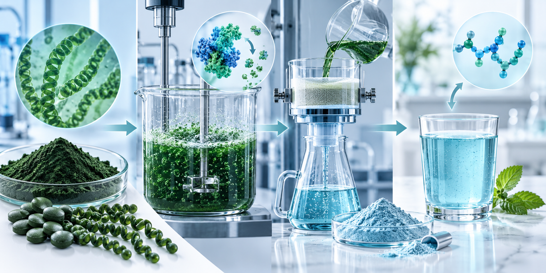 What Should You Know About Our Spirulina Bioactive Peptides?