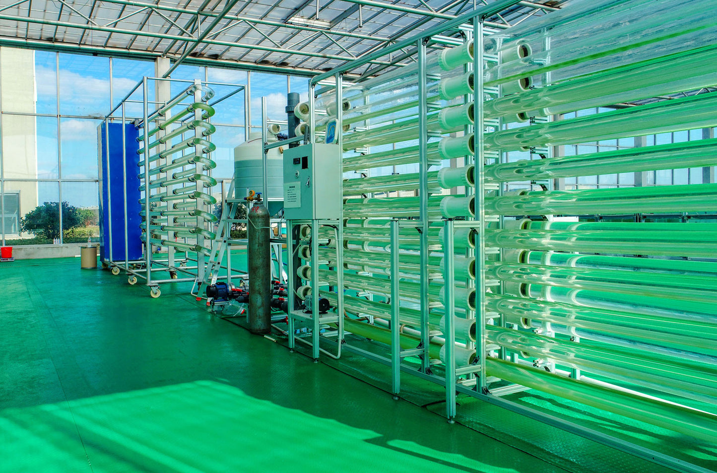 100% Pure Spirulina Powder -  5KG Pack