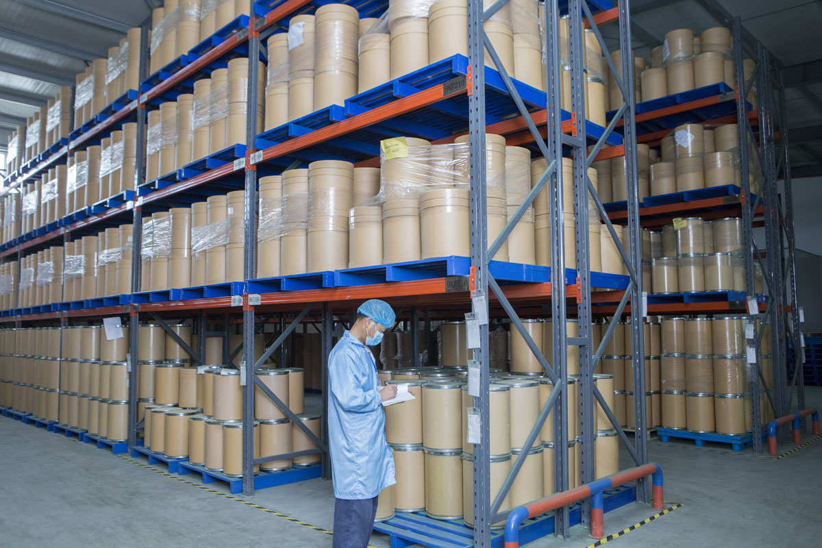 Organic Chlorella Powder (Broken-cell) - 5Kg Pack